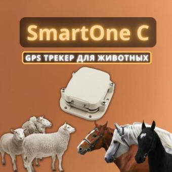 SmartOne C / GPS трекер для животных, транспорта и груза
