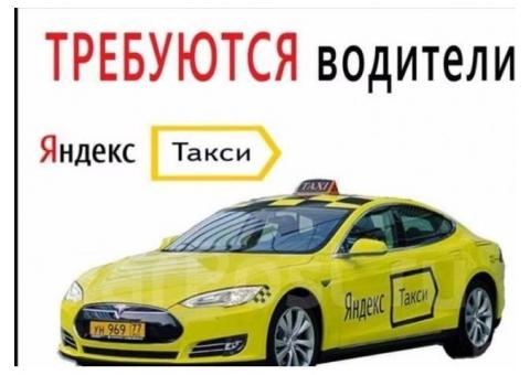 Водитель такси (Яндекс такси)