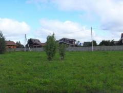 Земельный участок 40,66 соток в деревне Мышино Калязинского района Тверской области